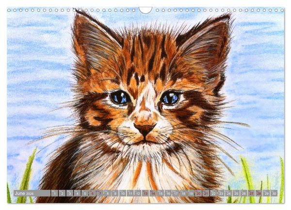 Produktbild: Beautiful cat portraits (Wall Calendar 2026 DIN A3 landscape), CALVENDO 12 Month Wall Calendar