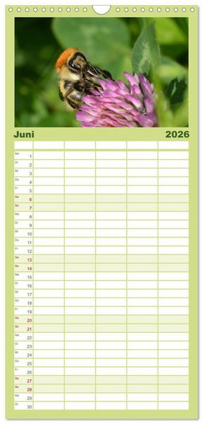 Produktbild: Familienplaner 2026 - Hummeln und Bienen mit 5 Spalten (Wandkalender, 21 x 45 cm) CALVENDO