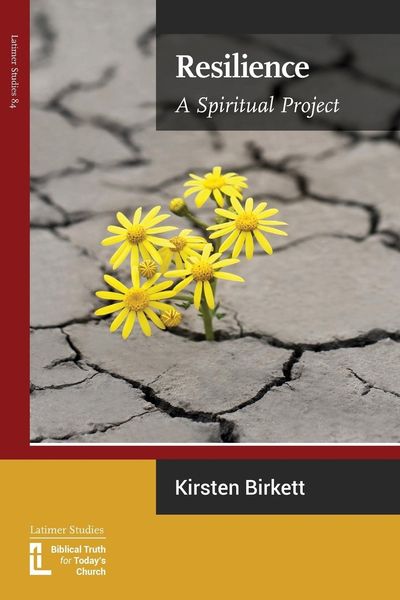 Produktbild: Resilience