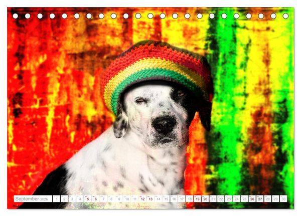 Produktbild: Hund tr&auml;gt Hut (Tischkalender 2026 DIN A5 quer), CALVENDO Monatskalender