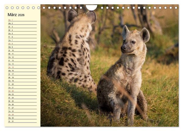 Produktbild: Afrika. Tiere in freier Wildbahn (Wandkalender 2026 DIN A4 quer), CALVENDO Monatskalender
