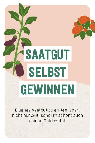 Produktbild: Kartenset: Hochbeet super easy