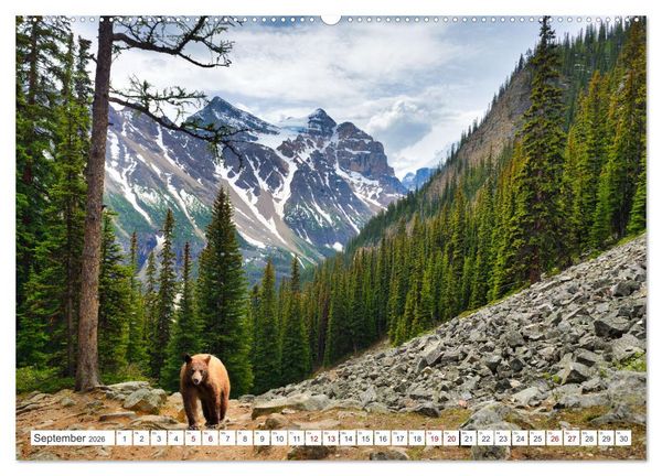 Produktbild: KANADA - Die B&auml;ren der Rocky Mountains (hochwertiger Premium Wandkalender 2026 DIN A2 quer), Kunstdruck in Hochglanz