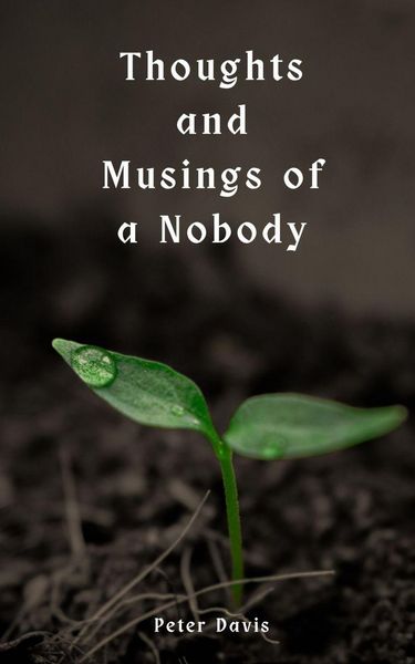 Produktbild: Thoughts and Musings of a Nobody