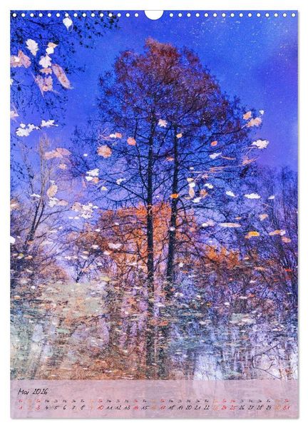 Produktbild: Wo der Wald tr&auml;umt (Wandkalender 2026 DIN A3 hoch), CALVENDO Monatskalender