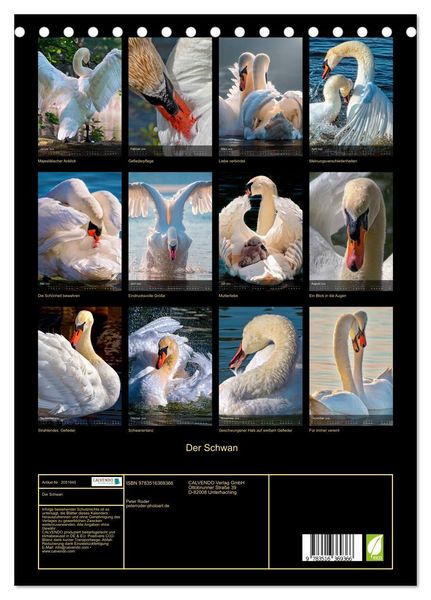 Produktbild: Der Schwan (Tischkalender 2026 DIN A5 hoch), CALVENDO Monatskalender