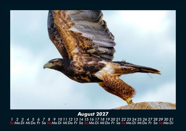 Produktbild: Vogelparadies 2027 Fotokalender DIN A5