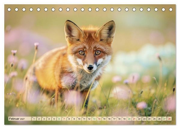 Produktbild: Zwischen den Feldern (Tischkalender 2027 DIN A5 quer), CALVENDO Monatskalender