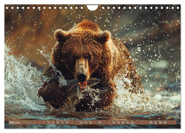 Produktbild: Wildes B&auml;renland (Wandkalender 2026 DIN A4 quer), CALVENDO Monatskalender