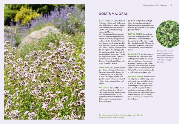 Produktbild: Bl&uuml;tenk&uuml;che