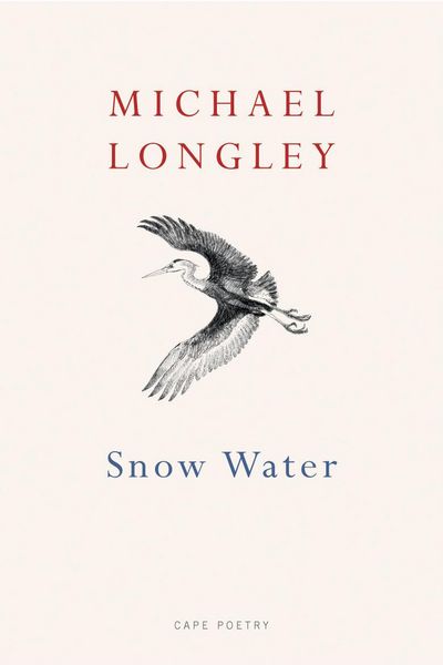 Produktbild: Snow Water