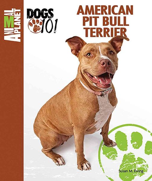 Produktbild: Amer Pit Bull Terrier