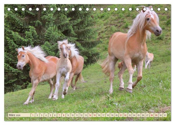 Produktbild: Tiroler Langm&auml;hnen (Tischkalender 2026 DIN A5 quer), CALVENDO Monatskalender