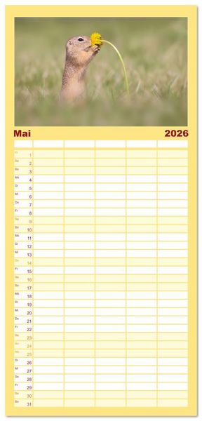 Produktbild: Familienplaner 2026 - Zauberhafte Ziesel mit 5 Spalten (Wandkalender, 21 x 45 cm) CALVENDO