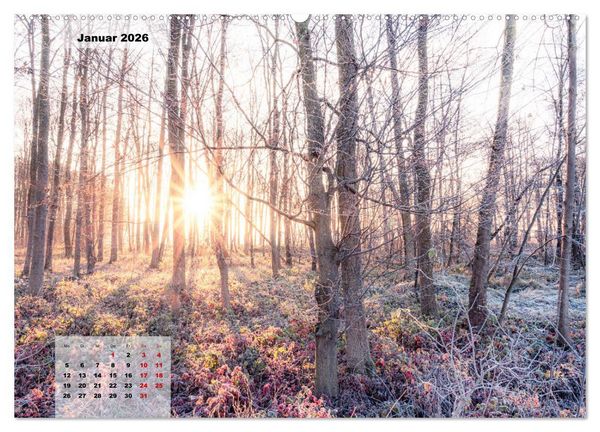 Produktbild: Ein Jahr Niederrhein Momente der Natur (Wandkalender 2026 DIN A2 quer), CALVENDO Monatskalender