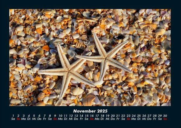 Produktbild: Sehnsucht nach Meer 2025 Fotokalender DIN A4
