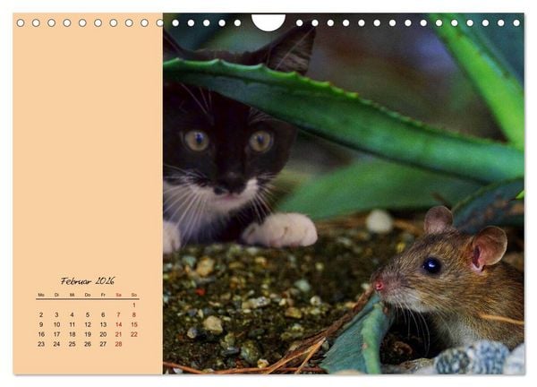 Produktbild: Mausige Zeiten! Putzige Gesellen mit Knopfaugen (Wandkalender 2026 DIN A4 quer), CALVENDO Monatskalender