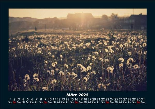 Produktbild: Bilder der Natur 2025 Fotokalender DIN A5