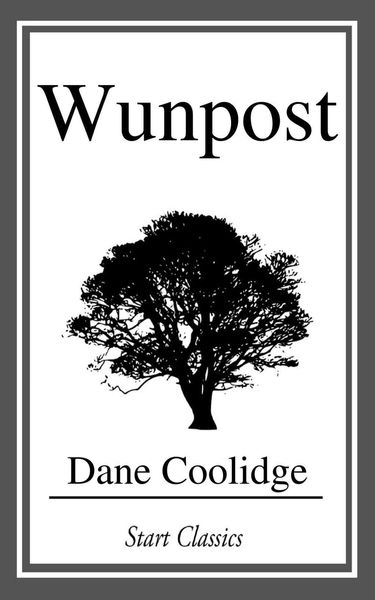 Produktbild: Wunpost