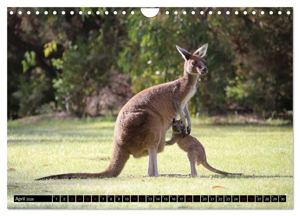 Produktbild: West-Australien (Wandkalender 2026 DIN A4 quer), CALVENDO Monatskalender