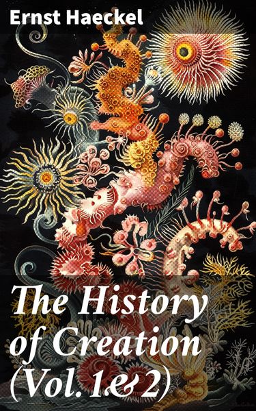 Produktbild: The History of Creation (Vol.1&2)