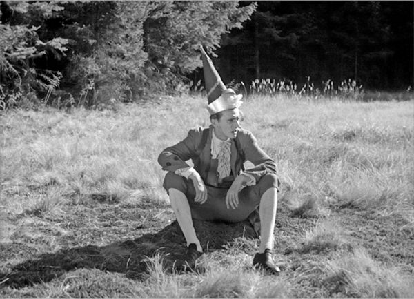 Produktbild: Die goldene Gans (1953) (Filmjuwelen / Schongerfilm-M&auml;rchen)