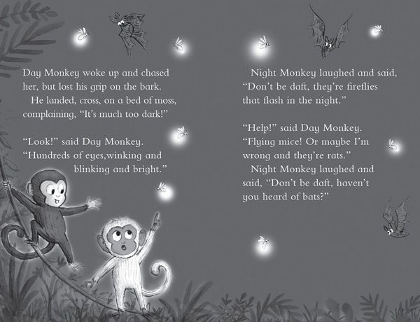 Produktbild: JULIA DONALDSONS BK OF PB