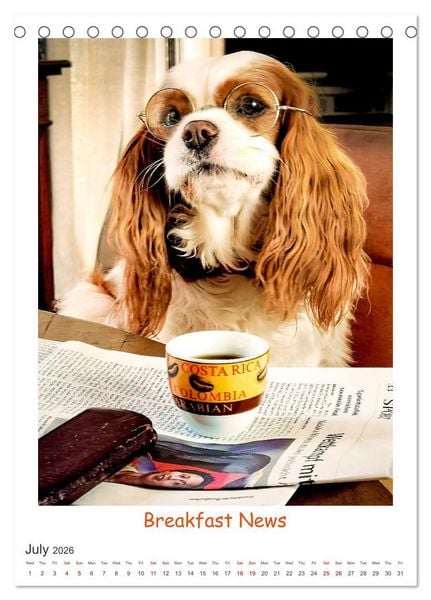 Produktbild: The Adventurous Life of two Daring Cavaliers (Desk Calendar 2026 DIN A5 portrait), CALVENDO 12 Month DeskCalendar