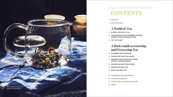 Produktbild: Grow Your Own Tea