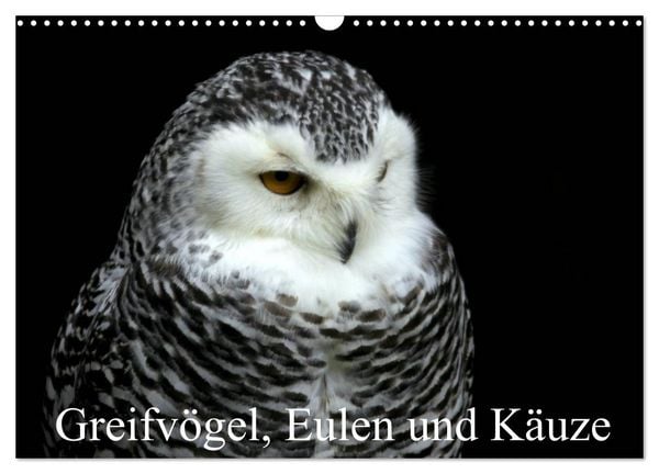 Produktbild: Greifv&ouml;gel, Eulen und K&auml;uze (Wandkalender 2026 DIN A3 quer), CALVENDO Monatskalender