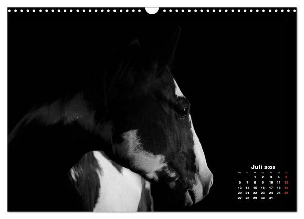 Produktbild: Pferde zwischen Licht und Schatten (Wandkalender 2026 DIN A3 quer), CALVENDO Monatskalender