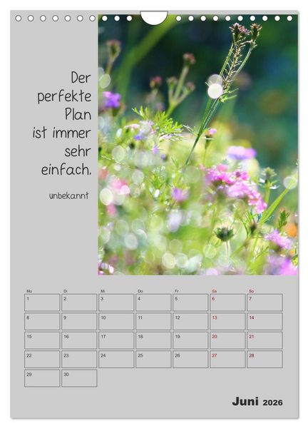 Produktbild: Motivationshilfe (Wandkalender 2026 DIN A4 hoch), CALVENDO Monatskalender