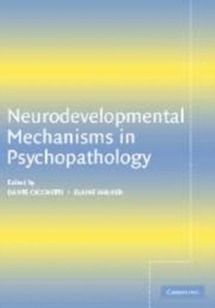 Produktbild: Neurodevelopmental Mechanisms in Psychopathology