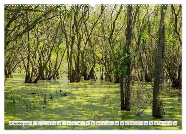 Produktbild: FLORIDA Paradiesischer Sonnenscheinstaat (Wandkalender 2026 DIN A2 quer), CALVENDO Monatskalender