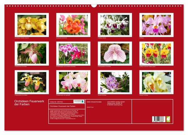 Produktbild: Orchideen Feuerwerk der Farben (Wandkalender 2026 DIN A2 quer), CALVENDO Monatskalender