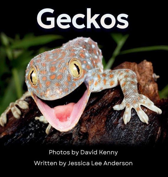 Produktbild: Geckos