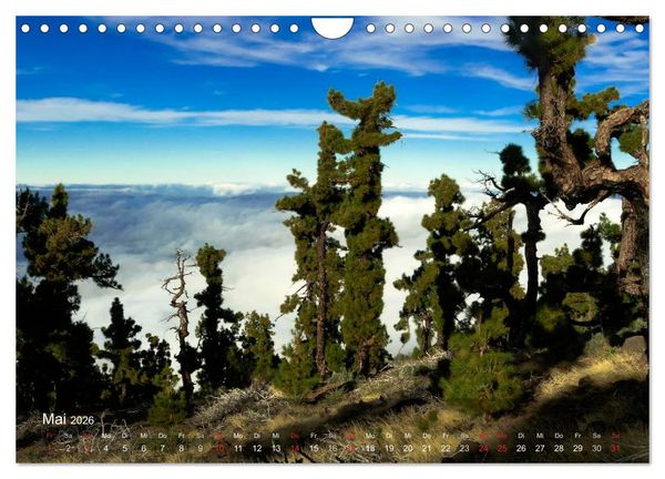 Produktbild: La Palma (Wandkalender 2026 DIN A4 quer), CALVENDO Monatskalender