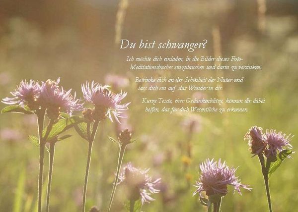 Produktbild: Die Sonne sucht dich &ndash; Das Foto-Meditationsbuch f&uuml;r eine gute Schwangerschaft und Geburt