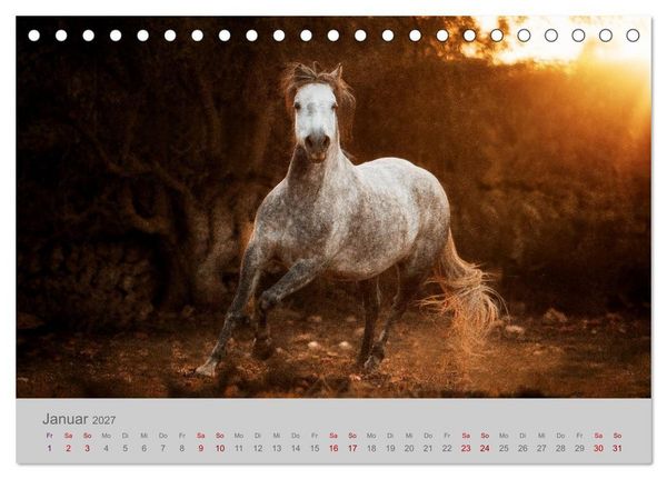 Produktbild: Pferde - Anmut, Eleganz, Magie (Tischkalender 2027 DIN A5 quer), CALVENDO Monatskalender