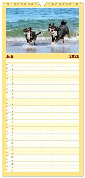 Produktbild: Familienplaner 2026 - Appenzeller Sennenhunde - Fr&ouml;hliche Kameraden mit 5 Spalten (Wandkalender, 21 x 45 cm) CALVENDO