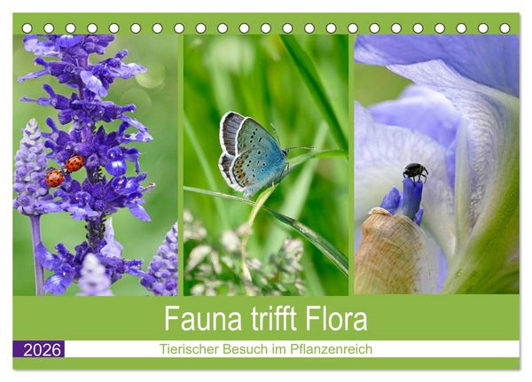 Produktbild: Fauna trifft Flora - Tierischer Besuch im Pflanzenreich (Tischkalender 2026 DIN A5 quer), CALVENDO Monatskalender