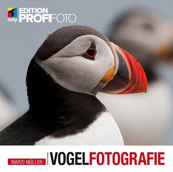 Produktbild: M&uuml;ller, M: Vogelfotografie