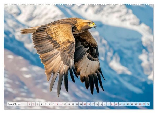 Produktbild: Bedrohte Tierwelt SCHATTEN DES VERSCHWINDENS (Wandkalender 2026 DIN A2 quer), CALVENDO Monatskalender