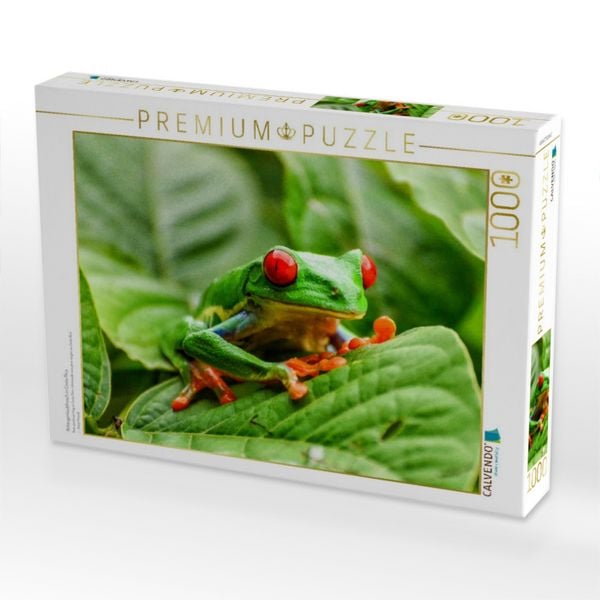 Produktbild: CALVENDO Puzzle Rotaugenlaubfrosch in Costa Rica | 1000 Teile Lege-Gr&ouml;&szlig;e 64x48cm Foto-Puzzle f&uuml;r gl&uuml;ckliche Stunden