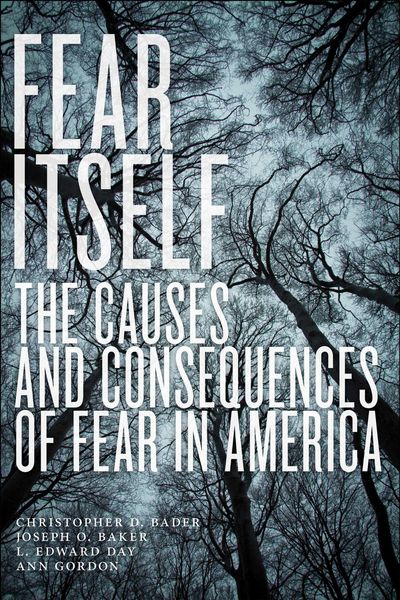 Produktbild: Fear Itself
