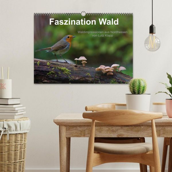 Produktbild: Faszination Wald. Waldimpressionen aus Nordhessen von Lutz Klapp (Wandkalender 2026 DIN A3 quer), CALVENDO Monatskalender