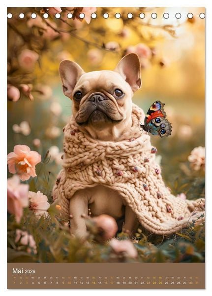 Produktbild: Frenchie Couture - Franz&ouml;sische Bulldoggen in Strick-Chic (Tischkalender 2026 DIN A5 hoch), CALVENDO Monatskalender
