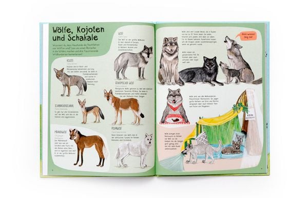 Produktbild: Das Hunde-Buch