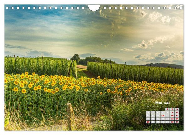 Produktbild: Hopfenland Holledau (Wandkalender 2026 DIN A4 quer), CALVENDO Monatskalender