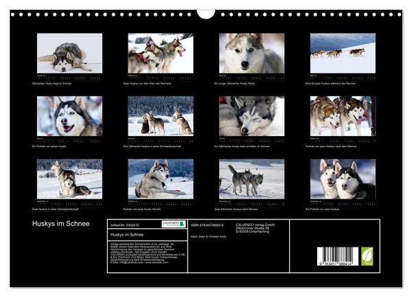 Produktbild: Huskys im Schnee (Wandkalender 2026 DIN A3 quer), CALVENDO Monatskalender